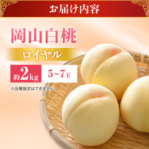 桃 2026年 先行受付  白桃 特秀 ロイヤル 大玉 約2kg(5～7玉) 岡山