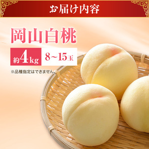 桃 2026年 先行受付 白桃 岡山 秀品 大玉 約4kg(8～15玉) 岡山県