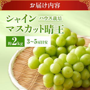 ぶどう 2026年 先行受付 シャインマスカット 晴王 約2kg(3～5房目安) 岡山