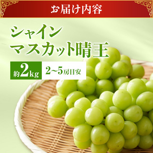 ぶどう 2026年 先行受付 シャインマスカット 晴王 秀品 大房 約2kg(2～5房) 岡山