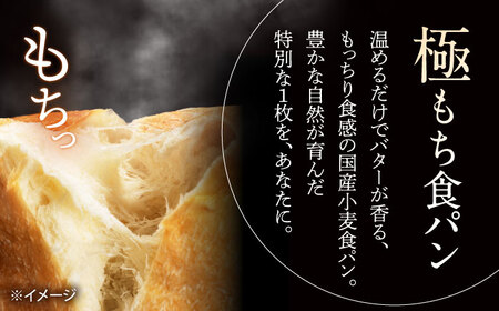 【6回定期便】【国産小麦100%】 食パン 2斤 2本 / 高級食パン 邑居謹製 パン 食パン / 南島原市 / sugar man's cafe[SEU015]