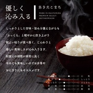秋田県産 予約受付開始!あきたこまち【令和7年産】無洗米25kg(5kg×5)《10月中旬より発送》【配送不可地域：離島・沖縄県】【1637082】