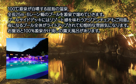 源泉 ナイトプール 付き温泉宿 アミ・ドローラ 宿泊 補助券 30000円 旅行 観光 ホテル 宿泊クーポン 宿泊チケット 静岡 静岡県