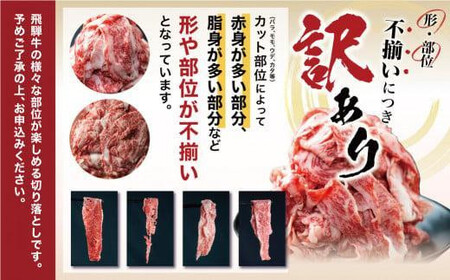 【定期便全3回】飛騨牛 訳あり 切り落とし 600g ｜牛肉 定期便 丸明 LR104