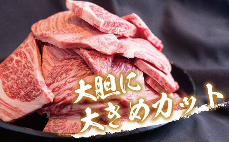 【定期便全3回】飛騨牛 訳あり焼肉1kg 切り落とし｜2ヶ月に1回 牛肉 訳あり 丸明 LR105