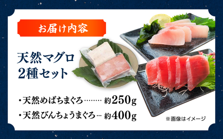 厳選 天然 マグロ 2種セット（計約650g） / 高知 魚介 海鮮 鮮魚 魚 マグロ まぐろ 鮪 新鮮 天然 刺身 寿司 セット 【株式会社Dorago】[ATAM054]