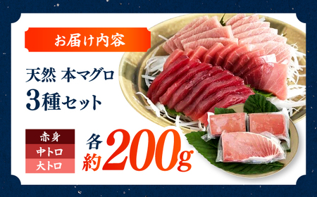 天然本鮪 大トロ 中トロ 赤身 セット（各約200g） / 高知 魚介 海鮮 鮮魚 魚 マグロ まぐろ 鮪 本鮪 新鮮 天然 刺身 寿司 セット 【株式会社Dorago】[ATAM055]