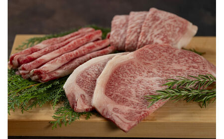土佐黒牛 サーロイン ステーキ 約400g（約200g×2）/ 贈答用 黒牛 土佐 和牛 牛 肉 お肉 ウデ モモ バラ 食品 冷凍 高知 【高知県食肉センター株式会社】[ATFC039]
