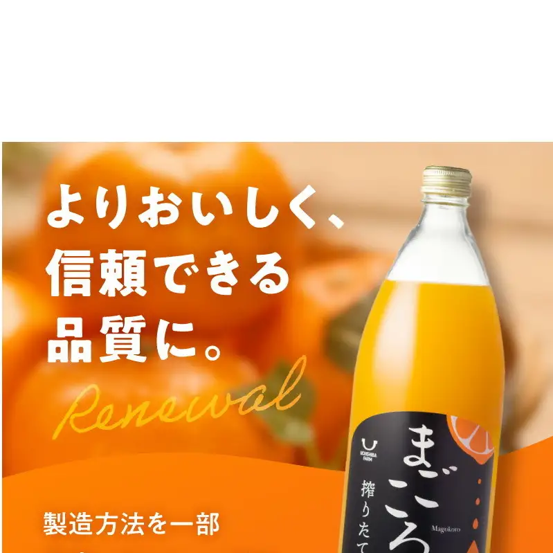 ZE6448_「まごころ」有田みかん 100％ ジュース 1000ml 1本