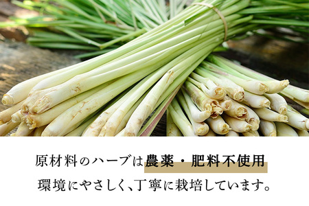 人にも環境にもやさしい HAS ハーブシャンプー [レモングラス]×1本 [レモングラス]×1本 [0376]