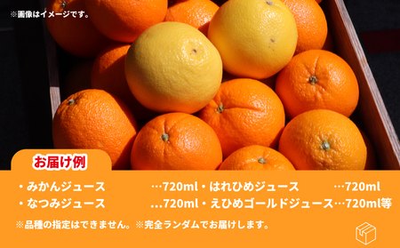 みかんジュース 宇和島みかん ストレート ジュース 6本 WF H020-024030