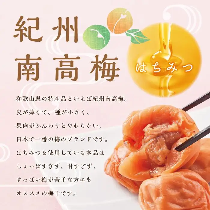 【定期便2回 2ヶ月に1回】 紀州南高梅 訳あり はちみつ梅 塩分5％ 2.4kg（300g×8パック)