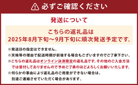 【受付終了】 長崎県産 シャインマスカット 約1.2kg ぶどう フルーツ【2025年8月下旬‐9月下旬迄発送予定】