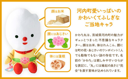 河内町 イメージキャラクター かわち丸 ぬいぐるみ 2個セット(大1個、小1個) まちづくり河内株式会社かわち夢楽《30日以内に出荷予定(土日祝除く)》 茨城県 河内町 ぬいぐるみ かわち丸 ボールチェーン付き