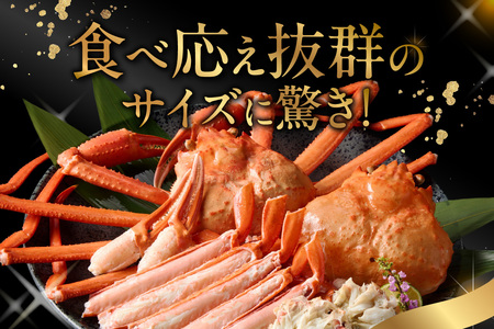 《先行予約》香住ガニ 活〆 タグ付き 超特々大 約1.2kg×2匹（合計約2.4kg以上）冷凍【令和9年2月中旬以降発送予定】カニ かに 07-136