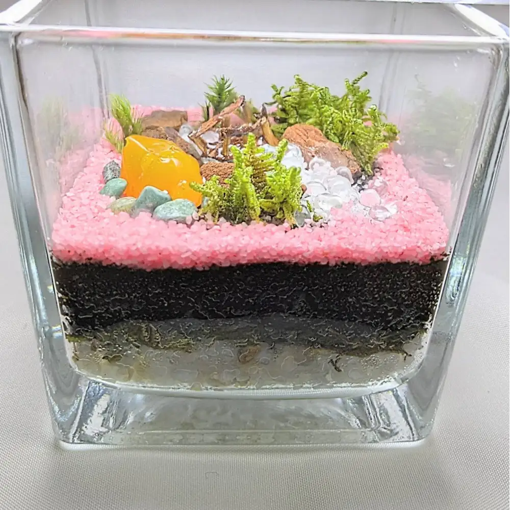 ととのいの湯、テラリウムにて