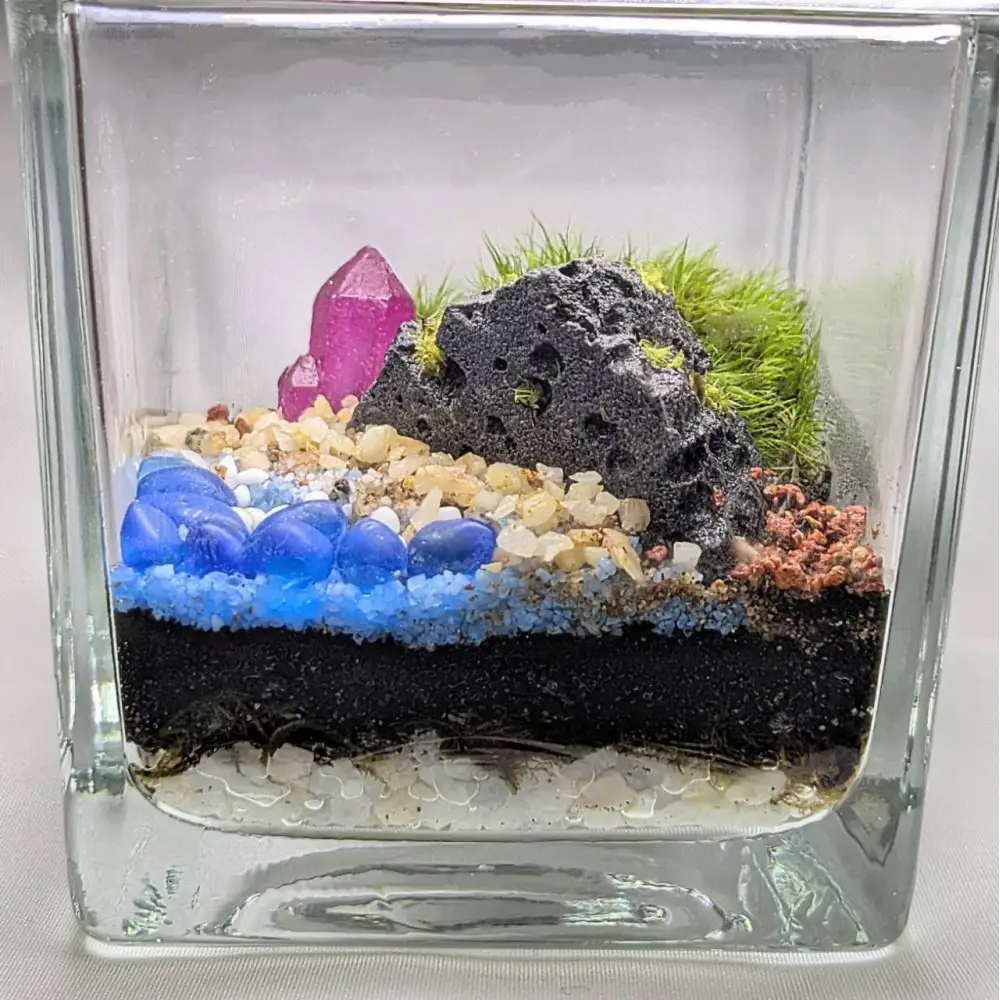 ポートの記憶、テラリウムに