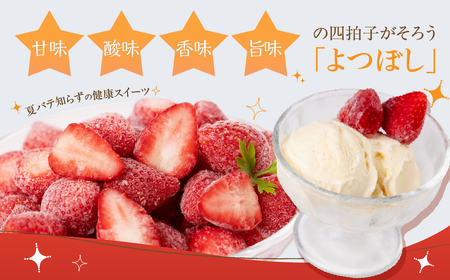 冷凍いちご よつぼし 1kg 国産 苺