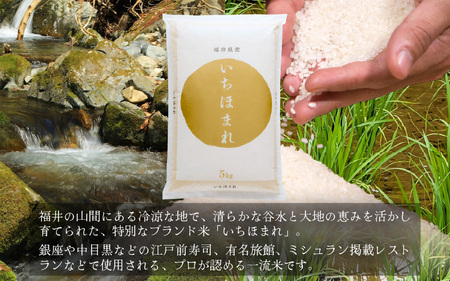 【先行予約】定期便 ≪3ヶ月連続お届け≫ 令和8年産 新米 いちほまれ 白米 5kg 【2026年10月上旬以降順次発送予定】 白米 5キロ [m46-d003]