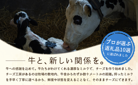 竹下牧場 takeshita farm【12ヶ月配送】マリボーチーズセット計510g【2402701】