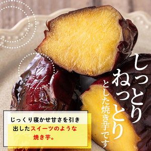 isa741 ふみおじいちゃんのやきいも(紅はるか・計3.0kg) 冷凍 パック 小分け サツマイモ 焼き芋 天然スイーツ 焼芋 紅はるか 【いさ工房】