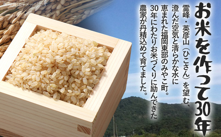 米 令和8年産 夢つくし（玄米） 5kg チャック付き チャック 防虫 ごはん おにぎり おやつ 福岡県 みやこ町産 福岡 九州 グルメ お取り寄せ