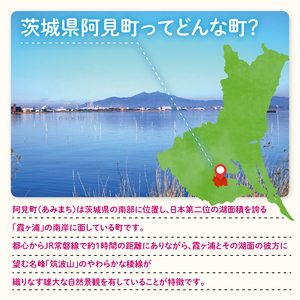 【返礼品なし】阿見町ふるさと応援寄附金(5000円)(000-03)