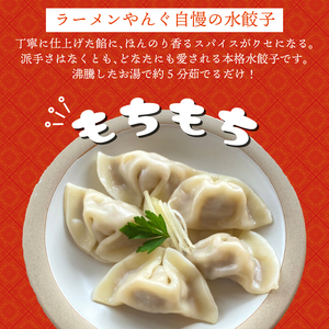 水餃子 自家製水餃子 60個（10個入り×6袋）餃子 冷凍餃子 冷凍ギョーザ ギョーザ 冷凍ぎょうざ 中華 ギョウザ ぎょうざ 点心 スイギョウザ 中華料理 ラーメンやんぐ 静岡県 三島市