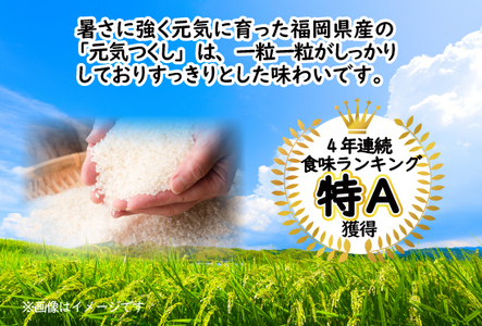元気つくしパックご飯 　32食（150g×4食×8パック）[M776-4] ごはん 白米 パック 国産 九州産 福岡県産 宮若 レンジ 保存食 備蓄 非常食 常温保存 グルメ