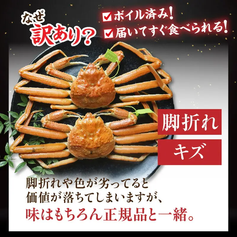 カニ 【訳あり】 釜茹で 松葉がに タグ付き 500g×2匹【令和8年11月中旬以降発送予定】かに 07-137