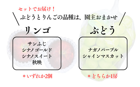 【2026年先行予約】秋の贈り物 旬のぶどう１房と季節のりんご２個詰め合わせ|フルーツセット フルーツセット