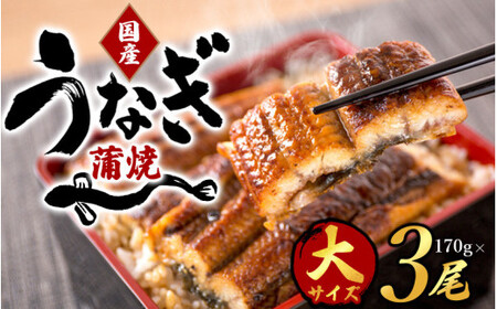 【全3回】－松－ 国産うなぎ＆熊野牛 スタミナ定期便 / 定期便 鰻 牛肉 サーロイン ギフト プレゼント お祝い 冷凍便 クール便 【tkb365】