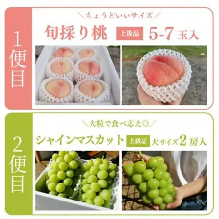 【発送月固定定期便】量より質の満足便!桃とシャインマスカットどっちも食べたい!(岡山県産)全2回【配送不可地域：離島】【4071129】