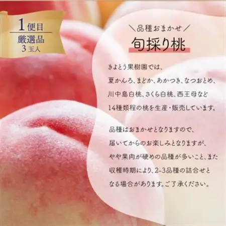 【発送月固定定期便】岡山県産の大玉桃(3玉)、大粒シャインマスカット(2房)の満足定期便! 全2回【配送不可地域：離島】【4071130】