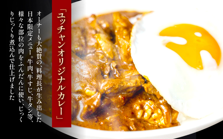 ユッチャンオリジナルカレー 2人前 (約300g×2セット) ふるさと納税 福知山市 人気 おすすめ ランキング カレー ビーフカレー 牛 牛肉 中辛 〆 シメ 常備 ユッチャン 送料無料 【fc-EO006】【焼肉・冷麺ユッチャン。】