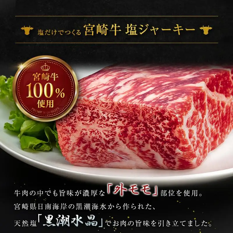 塩だけでつくる 宮崎牛 塩ジャーキー 5袋（20g×5袋）ブランド牛 ビーフジャーキー おつまみ 珍味 グルメ 干し肉 宮崎県産