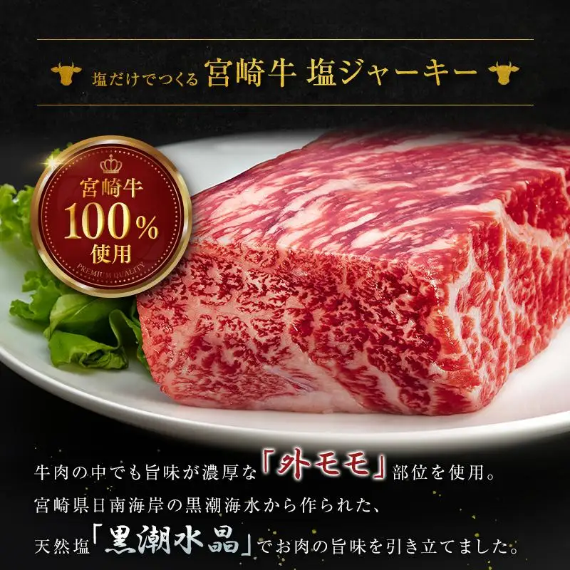 塩だけでつくる 宮崎牛 塩ジャーキー 10袋（20g×10袋）ブランド牛 ビーフジャーキー おつまみ 珍味 グルメ 干し肉 宮崎県産
