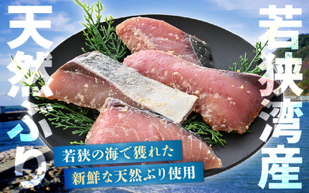 天然ぶり西京漬け 計10切（約90g×2切入）×5パック【福井県 ブリ 鰤】 [m36-a027]