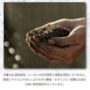 【 有機野菜 】 カット野菜 5袋 詰め合わせ 有機野菜