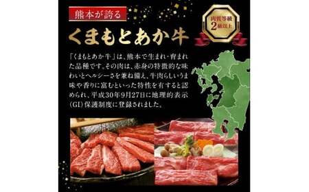 【定期便6回】GI認証 くまもとあか牛 すき焼き用500g＿U01-T1309_6