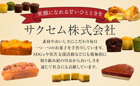NYチーズケーキ ラムレーズン 16個(30日以内に出荷予定)サクセム株式会社
