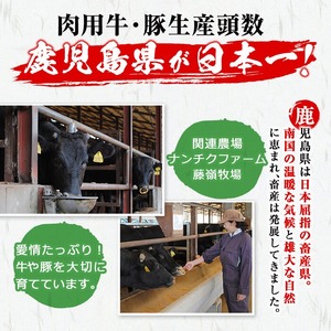 豚タンパストラミスライス 計750g(75g×10P) 小分け 薄切り タン 豚タン 豚肉 国産 おつまみ 焼肉 味付け済み 加熱済み アウトドア BBQ バーベキュー a1-140