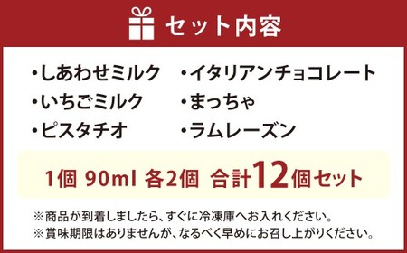 ジェラート 12個セット アイス 90ml 6種 各2個 ミルク いちごミルク ピスタチオ チョコ 抹茶 ラムレーズン 詰め合わせ 食べ比べ 岡山県 倉敷市