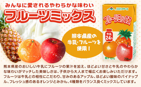 常温保存可能 【1ヶ月毎6回定期便】フルーツミックス250ml×24本 計144本 合同会社たべたせいか《お申し込みの翌月から出荷》熊本県 菊池市 ミックスジュース らくのうマザーズ フルーツ牛乳 フルーツ ジュース 紙パック ジュース ドリンク