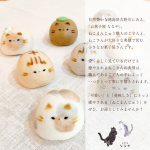 【 猫 まんじゅう 】和菓子 上用まんじゅう セット 6個 猫