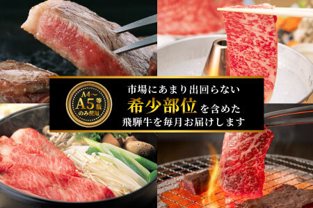 飛騨牛 希少部位 定期便 全6回 計1.86kg 2人前相当 すき焼き しゃぶしゃぶ ステーキ 焼肉 BBQ リブロース ランプ イチボ とも三角 ミスジ  ブランド牛 牛肉 肉 肉のひぐち 【7月発送開始】