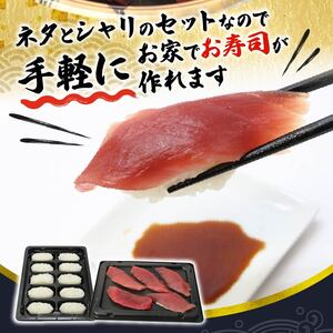 寿司 マグロ 南 まぐろ 20貫 セット 中トロ 5枚 赤身 10枚 ミナミまぐろ 握り
