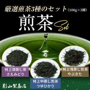 特上煎茶 さえみどり つゆひかり やぶきた 3袋セット (3種×各100g袋) お茶 影山製茶店 特上 煎茶 緑茶 甘み濃いめ 渋み少なめ 水出し ティータイム おもてなし リラックス 手土産 富士市 [sf001-278]
