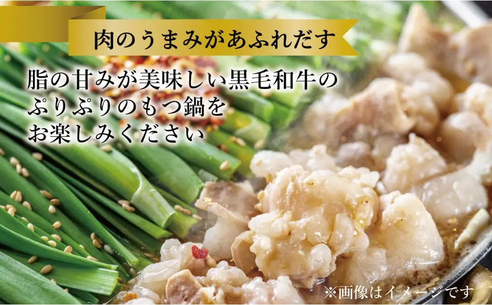 【福岡市】黒毛和牛 もつ鍋 白濁 鶏ガラスープ醤油スープ 3〜4人前セット