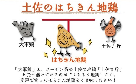 鶏肉 もも肉 はちきん地鶏 カット済 1.5kg [ag027] 鶏肉